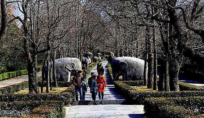 但多数人恐怕不知道,这明孝陵正南方,也就是梅花山山体,其实是更古老